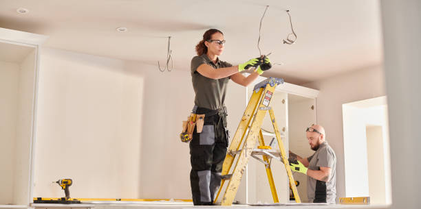 Best Electric Panel Repair  in Gibraltar, MI