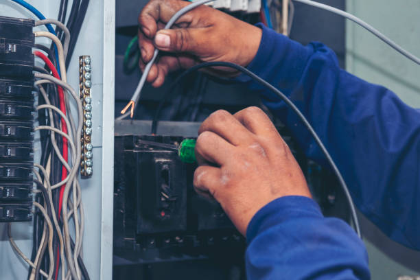 Best Ceiling Fan Installation Electrician  in Gibraltar, MI